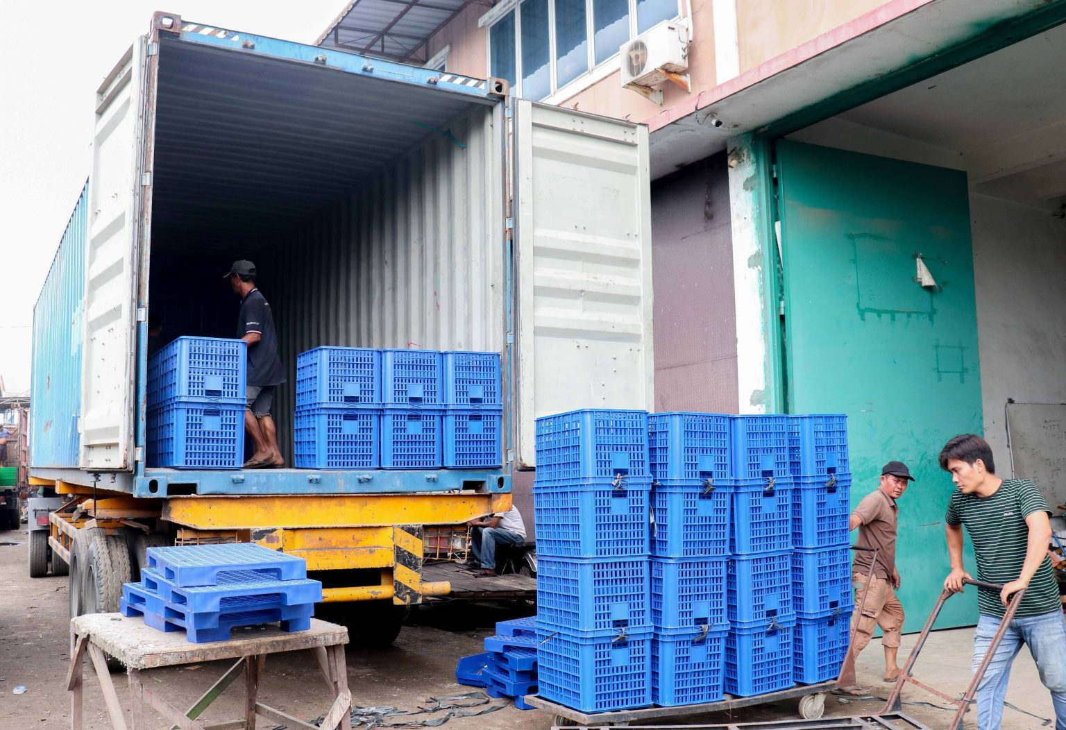 Kontak Bintang Abadi — kegiatan distribusi keranjang plastik di Medan